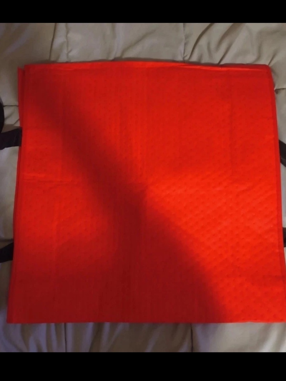 Doordash Large Insulated Pizza Delivery Bag For Top Dashers 19x19x5" NEW - Picture 2 of 3